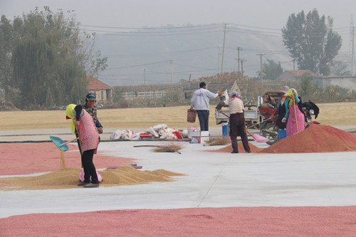 /gb2312/qishiyegonghui/11135.html